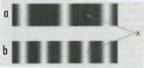 compare  interference patterns
